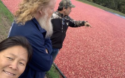 Pearl Street Brewery’s Seasonal Release of Gosecopia made with Wisconsin Cranberries