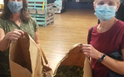 Pearl Street Brewery’s 2020 Community Hop Harvest Ale is Brewed!